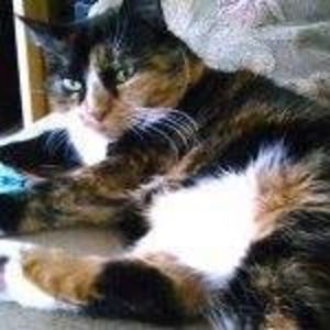 Meet your Posher, Annabelle